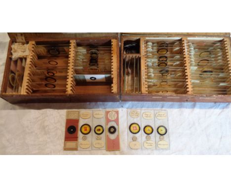 A cigar box containing W. Watson and other glass microscope slides including biological, and another with botany and medical 