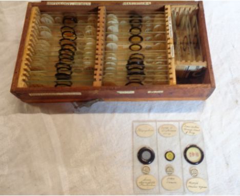 A cigar case containing W. Watson glass microscope slides including polycystine from Springfield, Barbados, diatoms, human hi
