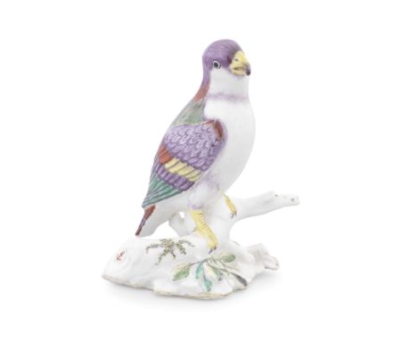 An exceptional Chelsea model of a parakeet, circa 1749-52Modelled perched on a branch, head cocked inquisitively to one side,