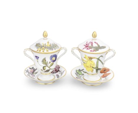 A pair of very unusual Derby two-handled botanical cups, covers and stands, circa 1800Of footed form with entwined handles, p