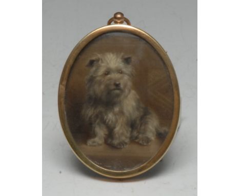 English School (early 20th century), a canine portrait miniature, of a terrier, watercolour on ivory, oval, 7.5cm x 5.5cm