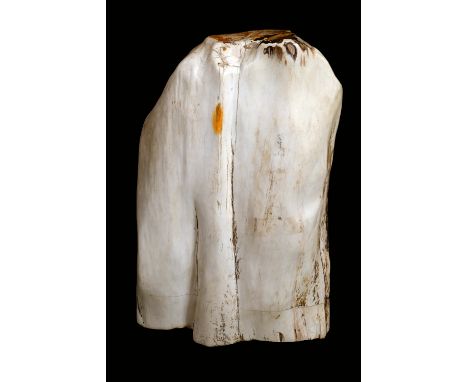 A substantial fossilized wood trunk section,  69cm high.