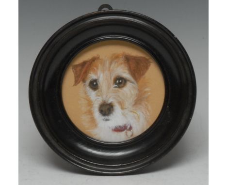 English School (20th century), a canine portrait miniature, of a terrirer dog, head and shoulders length, wearing a red colla