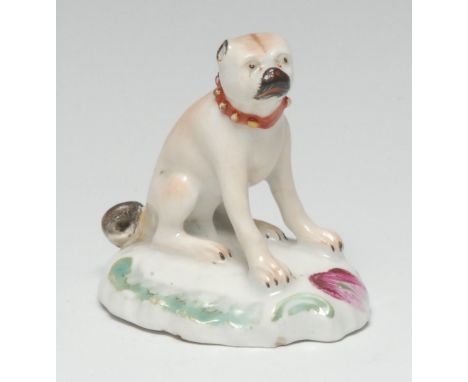 A Derby Patch Mark model of a seated pug, decorated in brown, wearing a studded collar, oval scroll moulded base picked out i