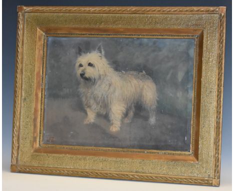 Maurice Tulloch (1894 - 1974)Portrait of a West Highland Terriersigned, dated 1966, oil on canvas, 27cm x 37.5cm