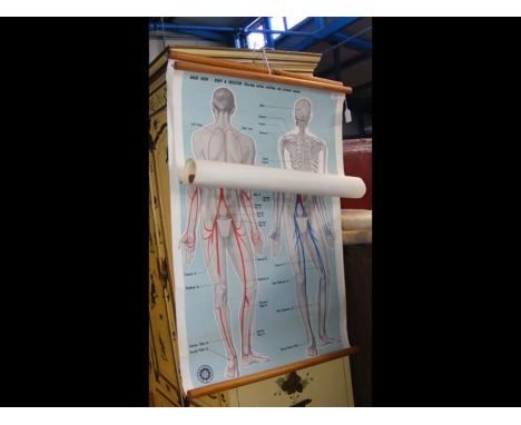 Selection of vintage medical charts CONDITION REPORT.