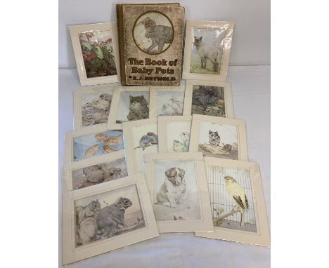 The Book of Baby Pets with illustrations by E. J. Detmold and descriptions by Florence E. Dugdale. Coloured plates have all b