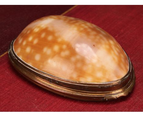 Snuff - a George III snuff box formed from a tiger cowrie/cowry shell, hinged cover set with mother of pearl panel, gilt meta