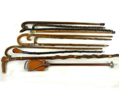 Large quantity of vintage walking sticks/canes and a shooting stick (11)
