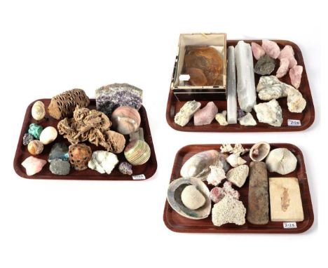 Minerals/Fossils: A Collection of Various Minerals & Fossils, including - a Large Desert Rose Gypsum specimen, an Amethyst sp