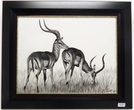 Hunting Art: A Framed Picture of Impala, ''Impressive Impala'', by ilse De Villiers, South Africa, 2014, nb acrylic on canvas
