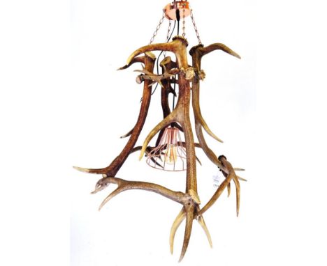 Antler Furniture: Antler Chandelier, a Red deer antler mounted Chandelier, constructed from eight shed Red deer antlers, fitt