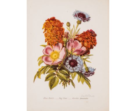 NO RESERVE Bowdler Sharpe (R. ) Lloyd's Natural History: British Birds, vol. 1-4, bookplates to front pastedown, chromolithog