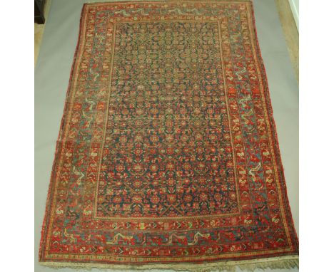 A CAUCASIAN CARPET Shirvan style, a densely patterned field inside a triple border, in tones of red and blue, 300 x 204cm