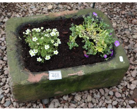 Stone trough planter with plants