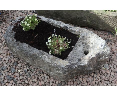 Stone trough planter with plants