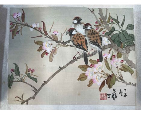 Two Chinese scroll paintings of birds and flowers.