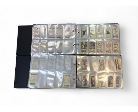 Sweetule Products And Priory Tea Cards: Sweetule, Modern British Cars (24), Modern British Motorcycles (26), Veteran Cars (29