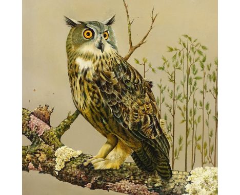 R Kenyon, oil on canvas, owl on a branch, 1991, 20" x 16", framedVery good condition but would benefit from a light clean 