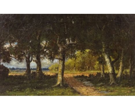 Late 19th/early 20th century oil on canvas, impressionist view through trees, unsigned, 13" x 20", framedRe-lined, light craq