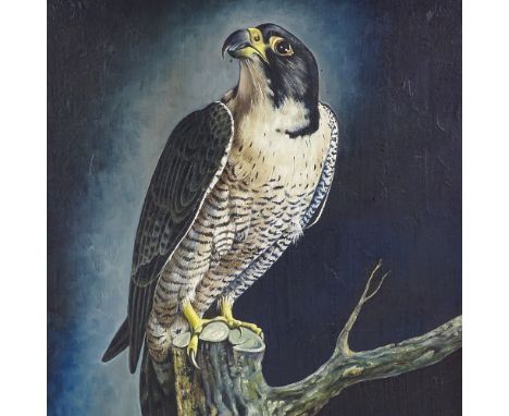 R Kenyon, oil on canvas, bird of prey, 1981, signed, 20" x 16", framedVery good condition but would benefit from a light clea