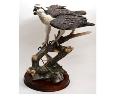 Border Fine Arts 'Prince of the Loch' (Osprey), model No. B0651 by Richard Roberts, limited edition 140/750, on wood base, wi