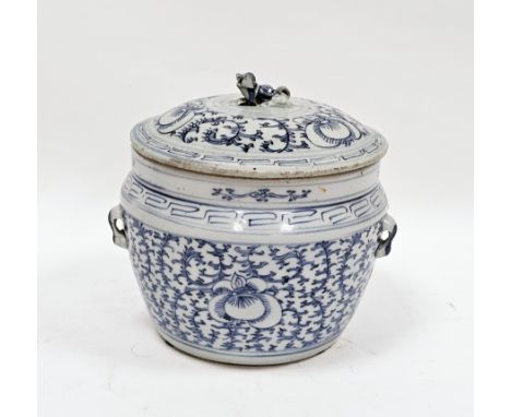 Chinese porcelain blue and white jar and a matched cover, Qing Dynasty, with dog of Fo finial and lug handles, painted in und
