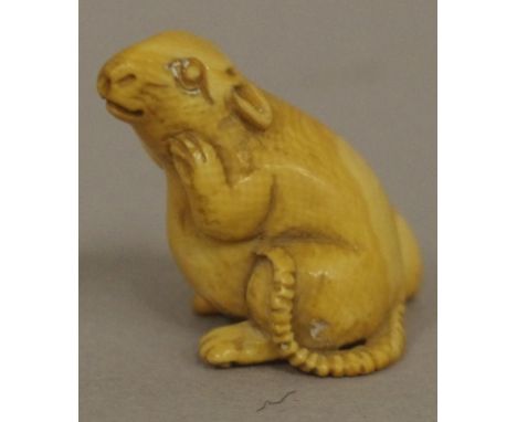 Antique Japanese rat figure ivory netsuke C1920. Signed to base. May not be exported without CITES documentation. H3cms appro