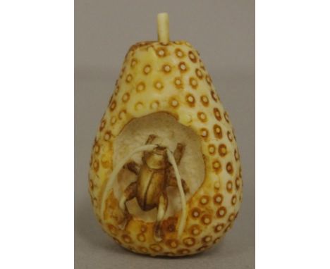 Antique Japanese beetle on pear ivory netsuke C1920. Signed to base. May not be exported without CITES documentation. H3cms a