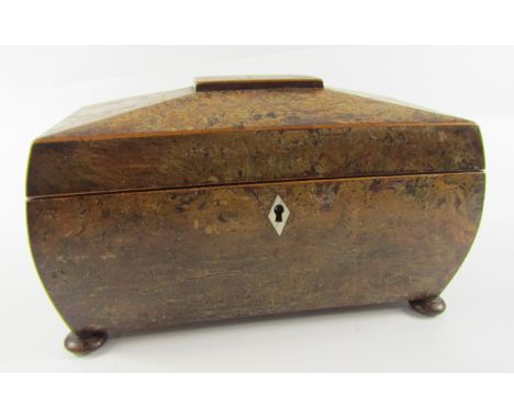 A Regency yew wood sarcophagus form tea caddy, with ivory key escutcheon, three section interior, raised on bun feet, 30.5cm 