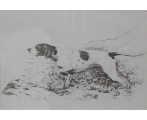 David Gee (British 20thC).  Pointer, etching, signed, 15cm x 20cm.