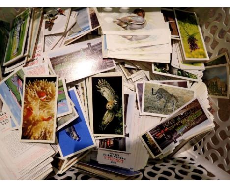 Large quantity of cigarette cards. UK P&amp;P Group 1 (£16+VAT for the first lot and £2+VAT for subsequent lots) 