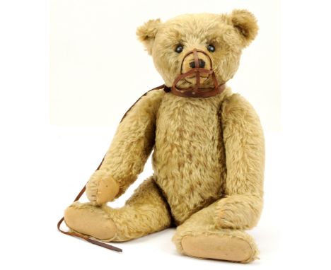 Steiff "Cubby" antique Muzzle Bear, German, 1911-1917, Art No 5350,27, with small underscored "f" button, light brown mohair,