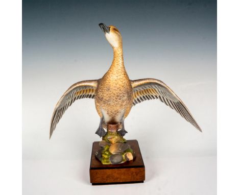 Limited edition; naturalistic model of a drake. Royal Worcester backstamp. Certificate of Authenticity included. This item ha