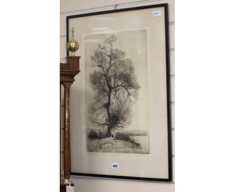 Alfred Blundell (1883-1968), 'The Black Poplar', signed in pencil in the margin and inscribed, etching, 48 x 30cm