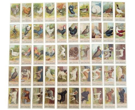 Trading Cards - Advertisement - a complete set Fry's chocolate confectionery trading cards 'Fowls Pigeons &amp; Dogs' issued 