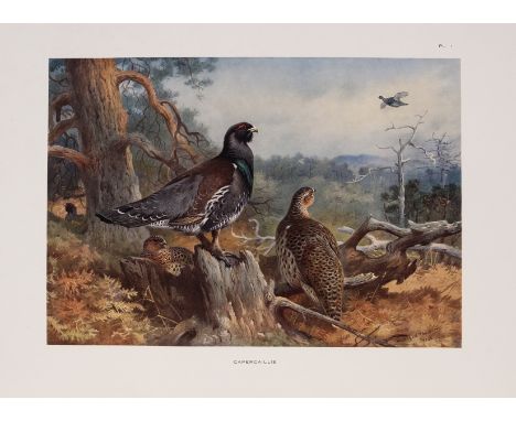 Birds.- Thorburn (Archibald) Game Birds and Wild-Fowl of Great Britain and Ireland, first edition, 30 colour plates, tissue-g