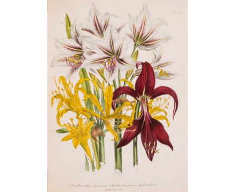 Botany.- Loudon (Jane) The Ladies' Flower Garden of Ornamental Bulbous Plants, first edition, 58 hand-coloured plates, contem