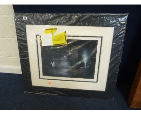 ROBERT WYLAND, Orcas, signed Limited Edition print, 111/395, 35cm x 46cm