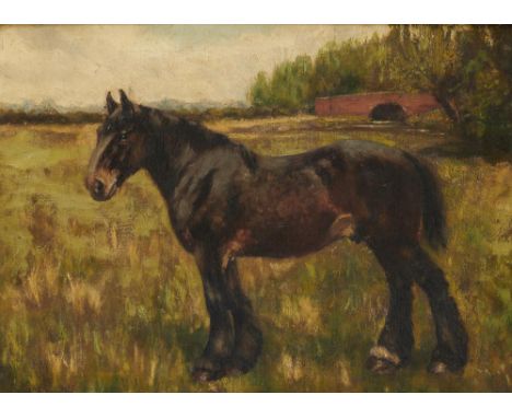JOHN MILNER (1876-1945) PORTRAIT OF A HORSE, signed and dated 1907, oil on canvas, 28.5 x 39cm++Varnish requires a clean, unl