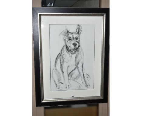 APRIL SHEPHERD (BRITISH CONTEMPORARY) 'DOG PORTRAIT V' a sketch of a dog sitting down, signed lower right, charcoal on paper,