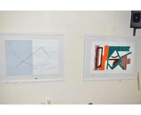 JEAN-PIERRE VIOT (FRENCH 1937) an abstract study limited edition print, signed and dated (20)07, 119/150, framed, image size 