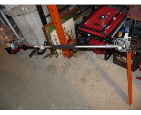 A Robin 2-stroke petrol-engine long-reach hedge trimmer.