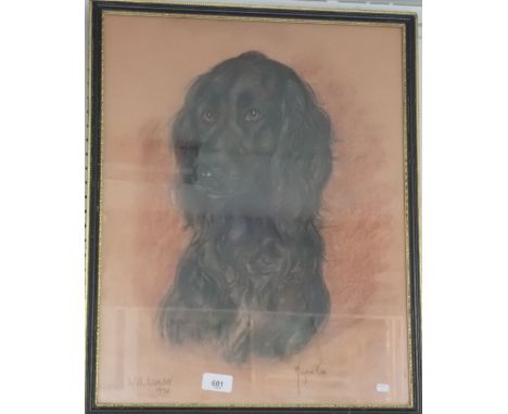 Marjorie Cox - pastel portrait of a black cocker spaniel 'William' 1972