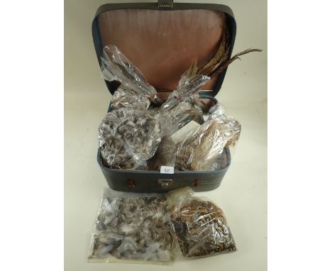 A vintage case containing a quantity of  birds feathers - for use in taxidermy repair