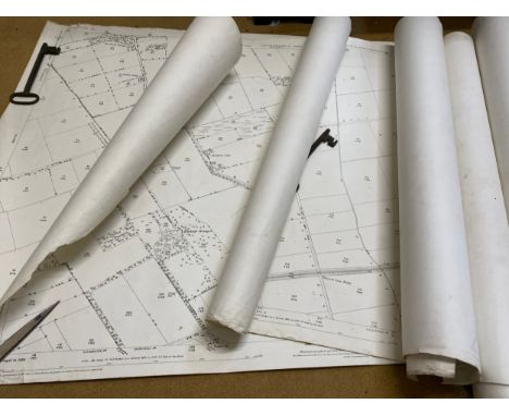 Local interest - A selection of 8 maps 'Photozincographed and Published at the Ordnance Survey Office Southampton' 1890 and 1
