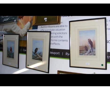 Three limited edition coloured prints of bird of prey, signed in pencil on the mount by the artist