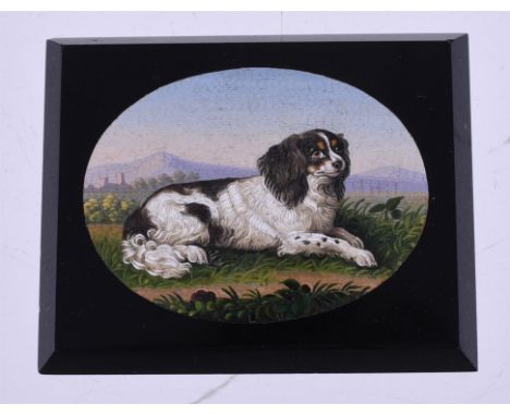 A mid 19th century Italian micro mosaic plaque, circa 1850, possibly from the workshop of Michelangelo Barberi, the oval pane