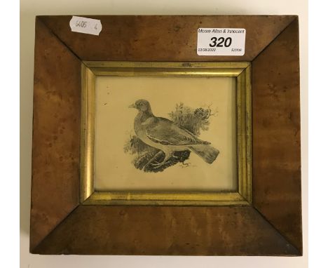 19TH CENTURY ENGLISH SCHOOL "Pigeon", monochrome wash, indistinctly monogrammed / initialled lower right "JMW?", 9.5 cm x 11.