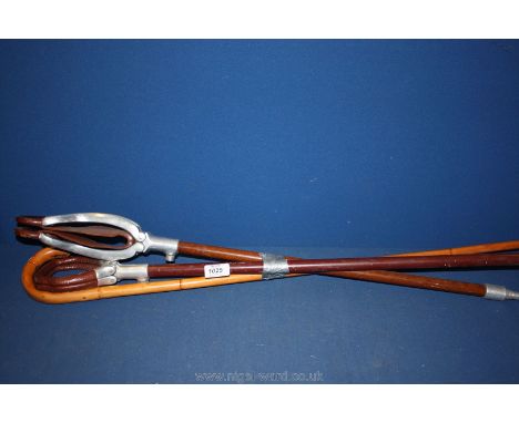 Three Shooting Sticks and a walking stick